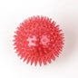 Squeaky Dog &amp; Cat Toy - Spiked Ball with Squeaker
