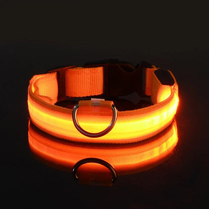 Collier Lumineux LED pour Chien – Sécurité et Visibilité de Nuit
