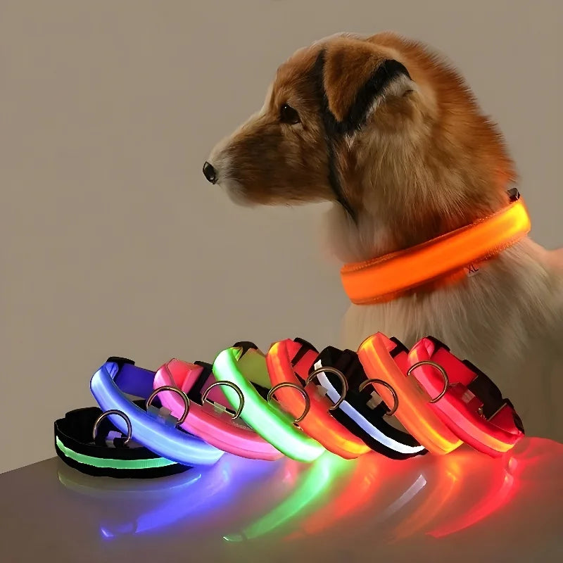 Collier Lumineux LED pour Chien – Sécurité et Visibilité de Nuit