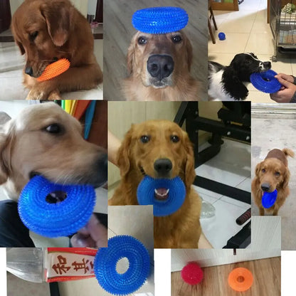 Jouet et Anneau de Dentition pour Chiens – Nettoyage des Dents