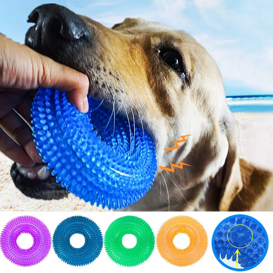 Jouet et Anneau de Dentition pour Chiens – Nettoyage des Dents