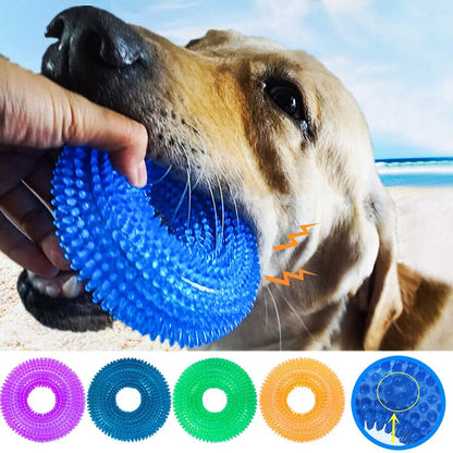 Jouet et Anneau de Dentition pour Chiens – Nettoyage des Dents