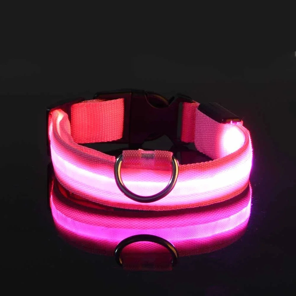 Collier Lumineux LED pour Chien – Sécurité et Visibilité de Nuit