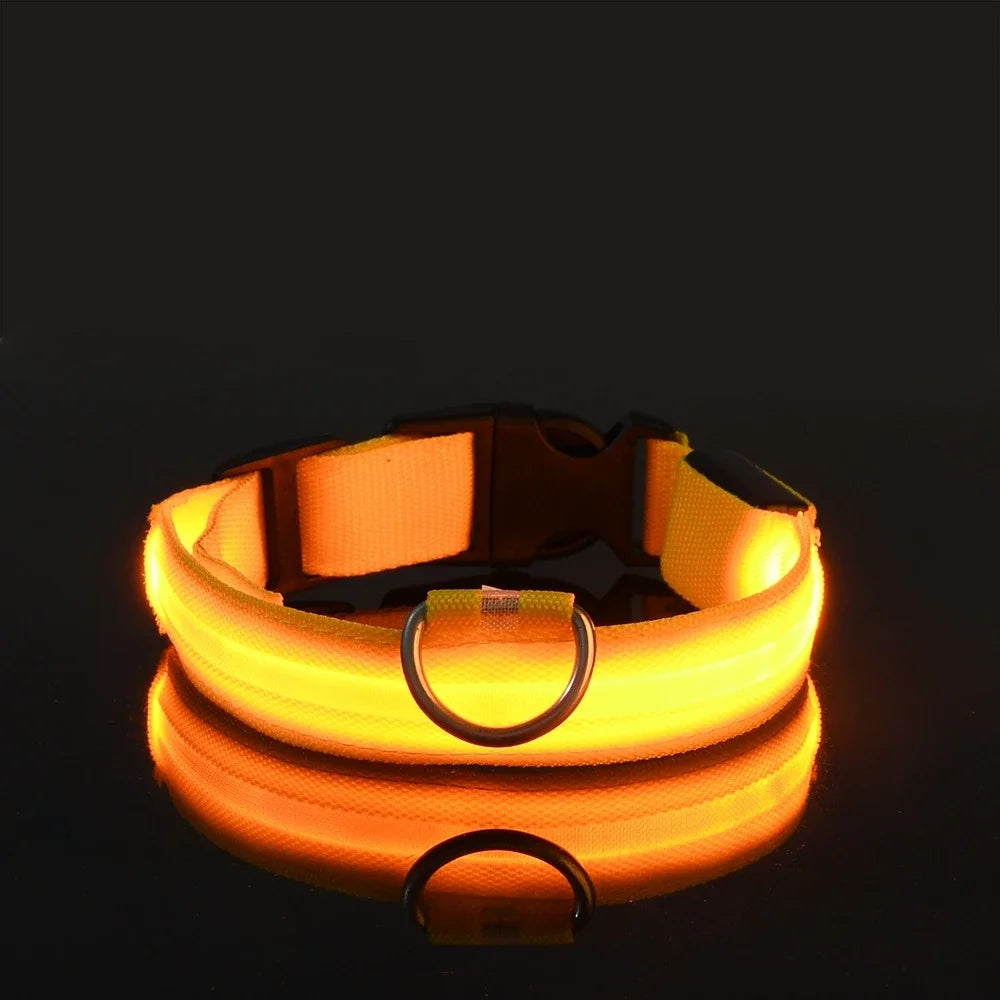Collier Lumineux LED pour Chien – Sécurité et Visibilité de Nuit