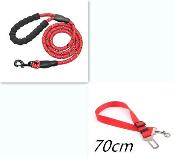 Laisse Réfléchissante en Nylon – Sécurité & Confort pour Chiens