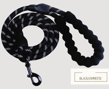 Laisse Réfléchissante en Nylon – Sécurité & Confort pour Chiens