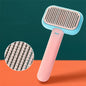 Brosse de Toilettage Démêlante – Massage & Entretien du Pelage